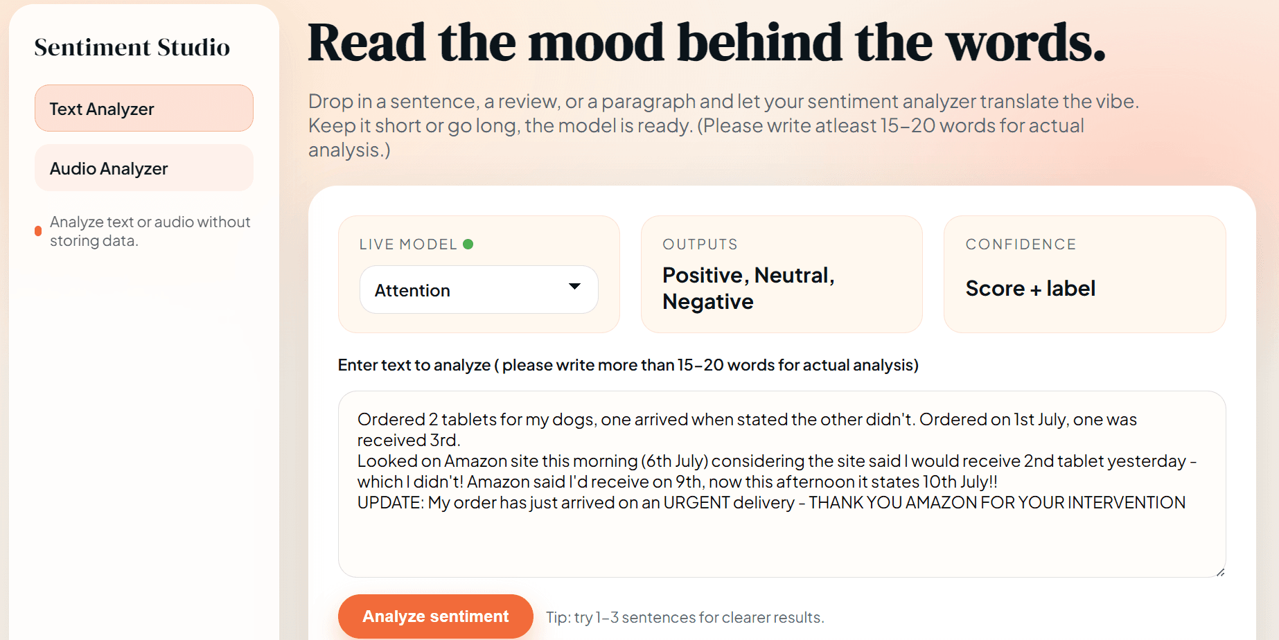 Screenshot of the Sentiment Analyzer website